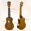imageADM Ukulele for Beginners Hawaiian Wood Ukelele Kit for Kids Adult Student Starter Professional Ukalelee Pack Bundle with Free Lessons Gig Bag Strap Nylon String Tuner BrownSapele 21 InchMocha