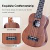 imageADM Ukulele for Beginners Hawaiian Wood Ukelele Kit for Kids Adult Student Starter Professional Ukalelee Pack Bundle with Free Lessons Gig Bag Strap Nylon String Tuner BrownSapele 21 InchBrownSapele