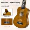 imageADM Ukulele for Beginners Hawaiian Wood Ukelele Kit for Kids Adult Student Starter Professional Ukalelee Pack Bundle with Free Lessons Gig Bag Strap Nylon String Tuner BrownSapele 21 InchMocha