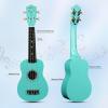 imageADM Ukulele for Beginners Hawaiian Wood Ukelele Kit for Kids Adult Student Starter Professional Ukalelee Pack Bundle with Free Lessons Gig Bag Strap Nylon String Tuner BrownSapele 21 InchMint Green